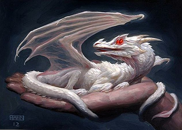 Hur fick Ki-ja Hakuryuu (den vita draken) detta ärr?