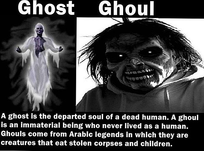Różnice między anime Ghost in the Shell a akcją na żywo