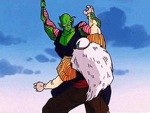 Piccolo-Gohan-fusion, kan det være tilladt i Universal Tournament?
