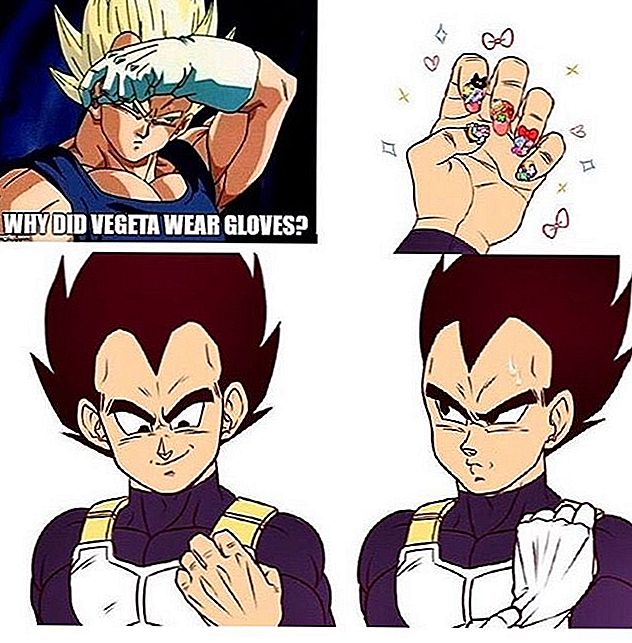 Kodėl Goku DBGT dėvi kitokį Gi?