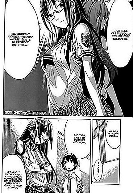 Akció és ecchi manga egy több személyiségű lányról, akinek teste is változik, valahányszor megváltozik a személyisége