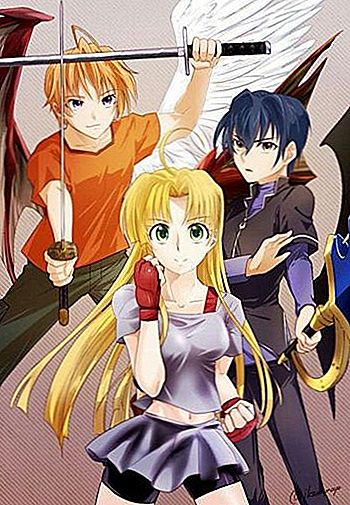 Vidurinės mokyklos „DxD“ anime į mangą