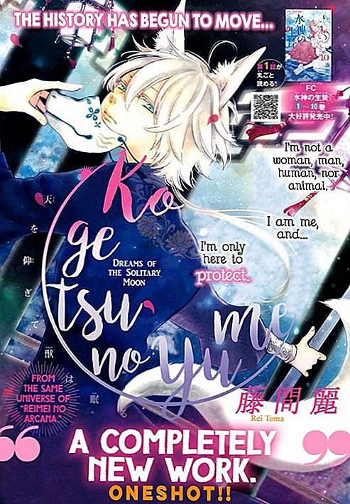 Buscant el manga Oneshot Shoujo sobre un noi amb personalitat dividida