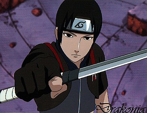 Naruto Shippuden bei ep. 445 auf Hulu, aber Filme sind weiter. Liegt das am Manga?