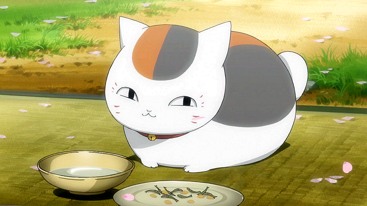 Warum ist Nyanko-sensei eine runde, mollige Katze?
