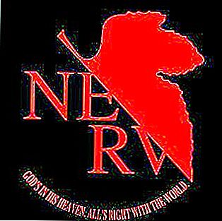 Какво е това, което покрива част от логото на Nerv?