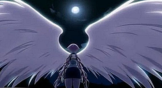 Kur Dangaus prarastos nuosavybės anime skyla nuo mangos?