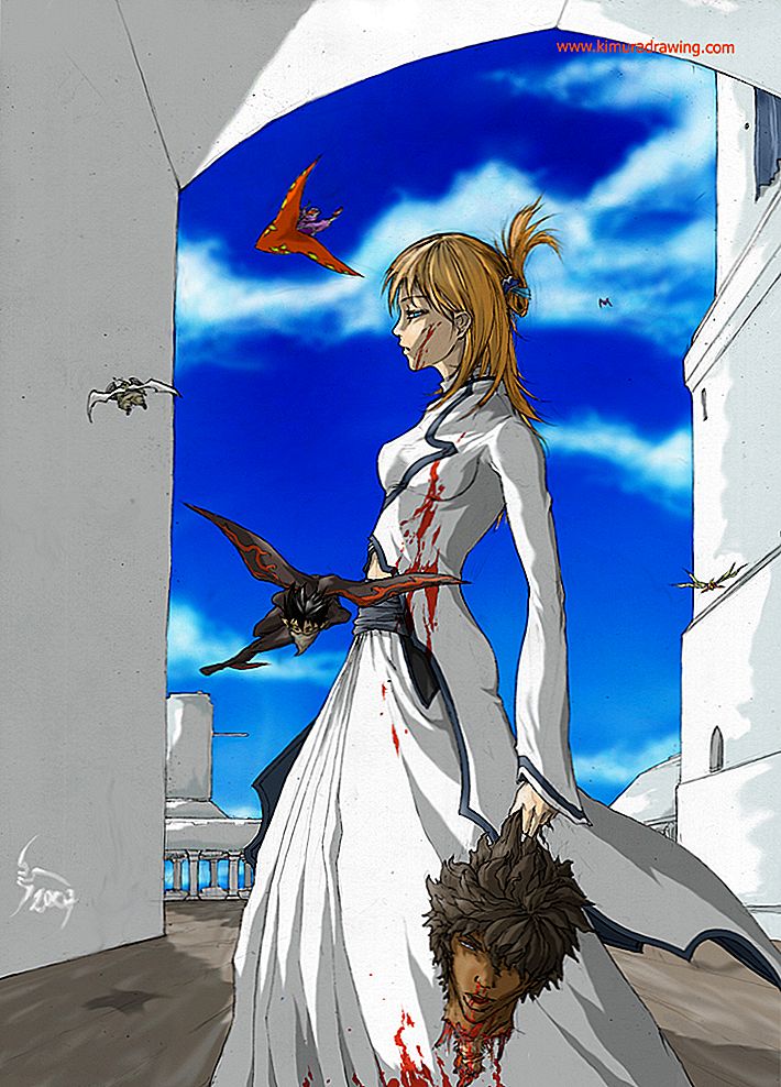 애니메이션에서 Ichigo & Aizen 싸움 후 블리치를 어디에서 읽을 수 있습니까?