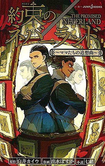 Koji od Light romana pokriva Anime of Accel World